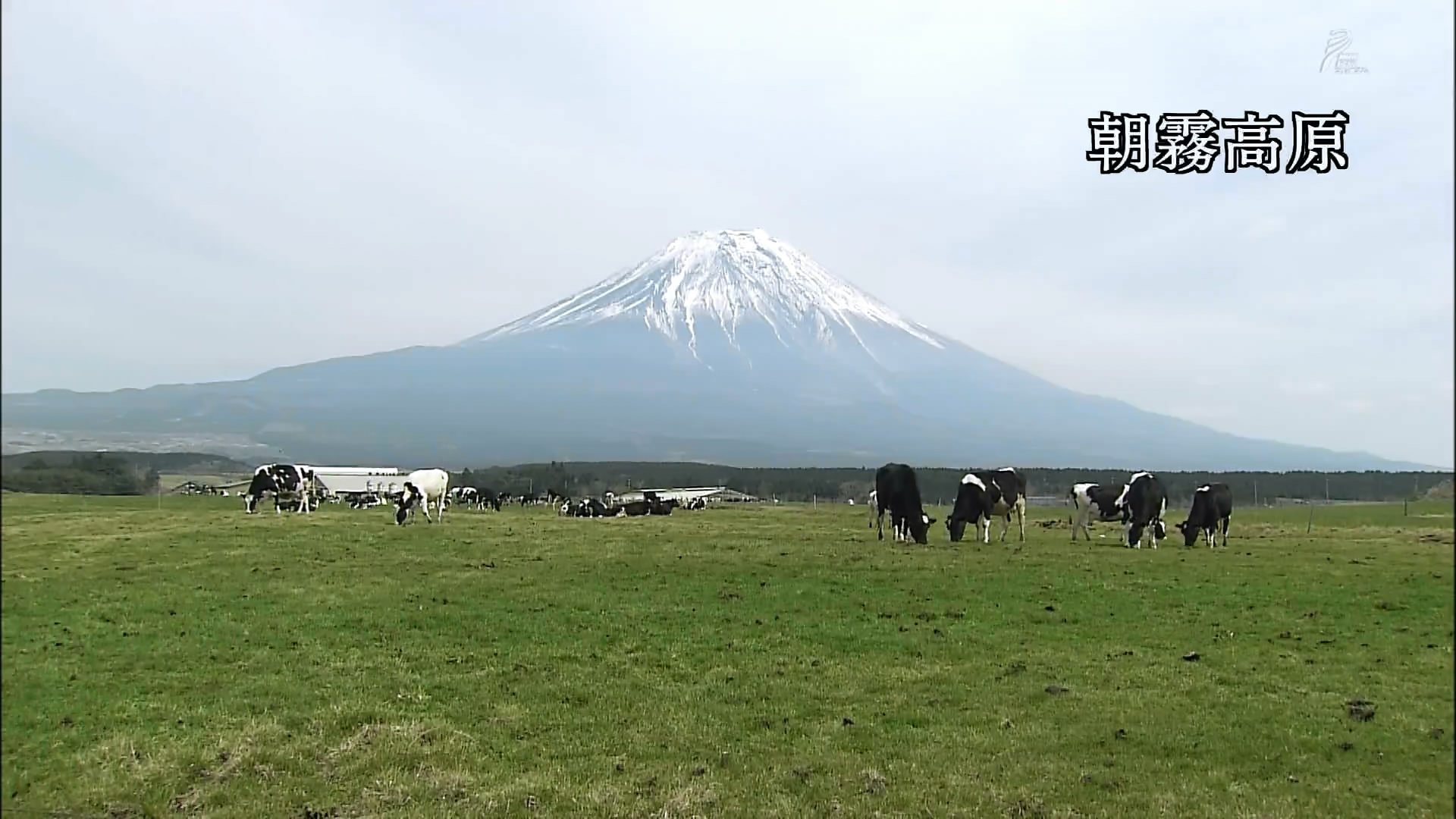 さわやかウインドー「富士山点描」n.jpg