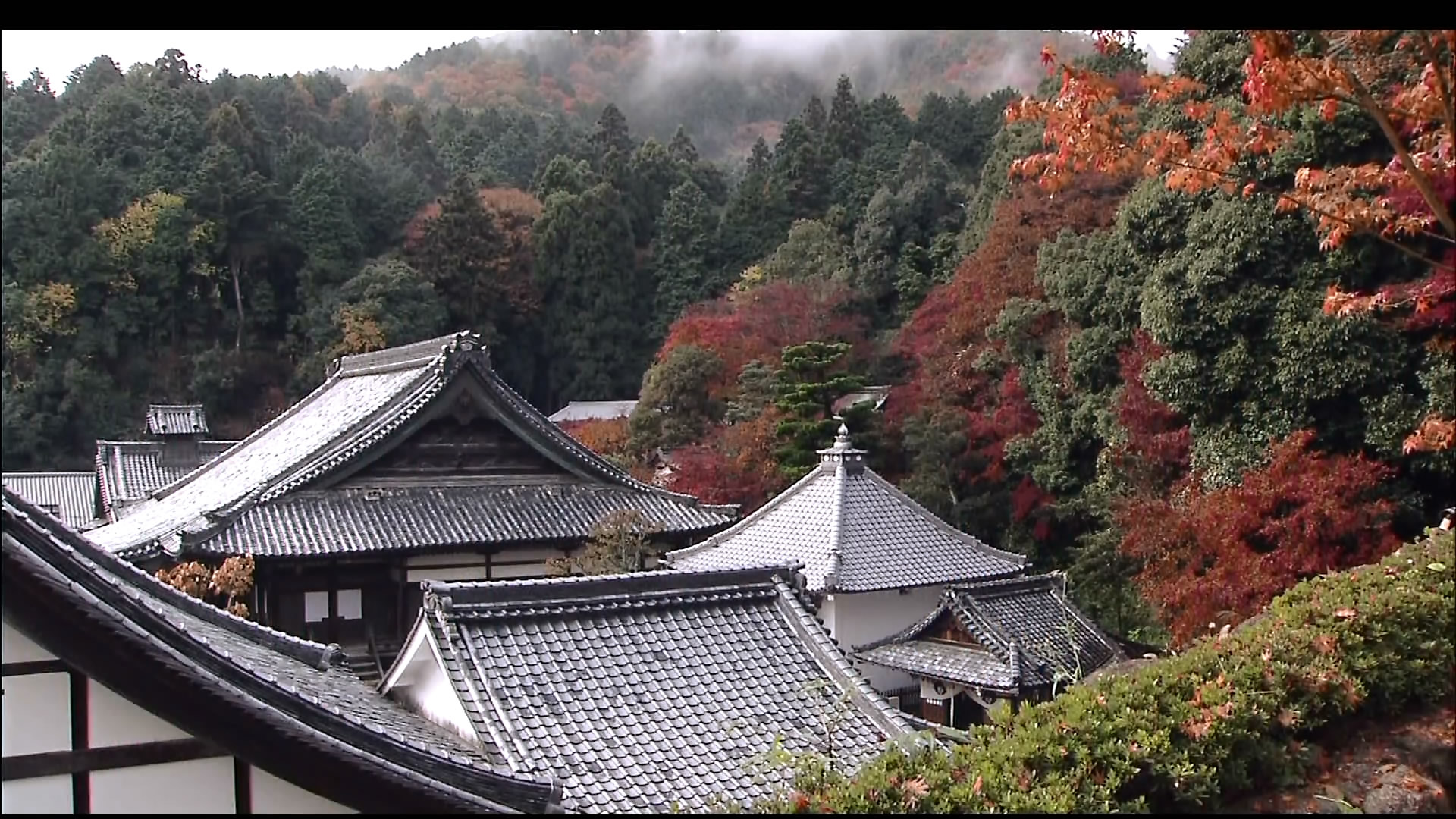 さわやかウインドー「京都西山　もみじの小径（みち）」g.jpg