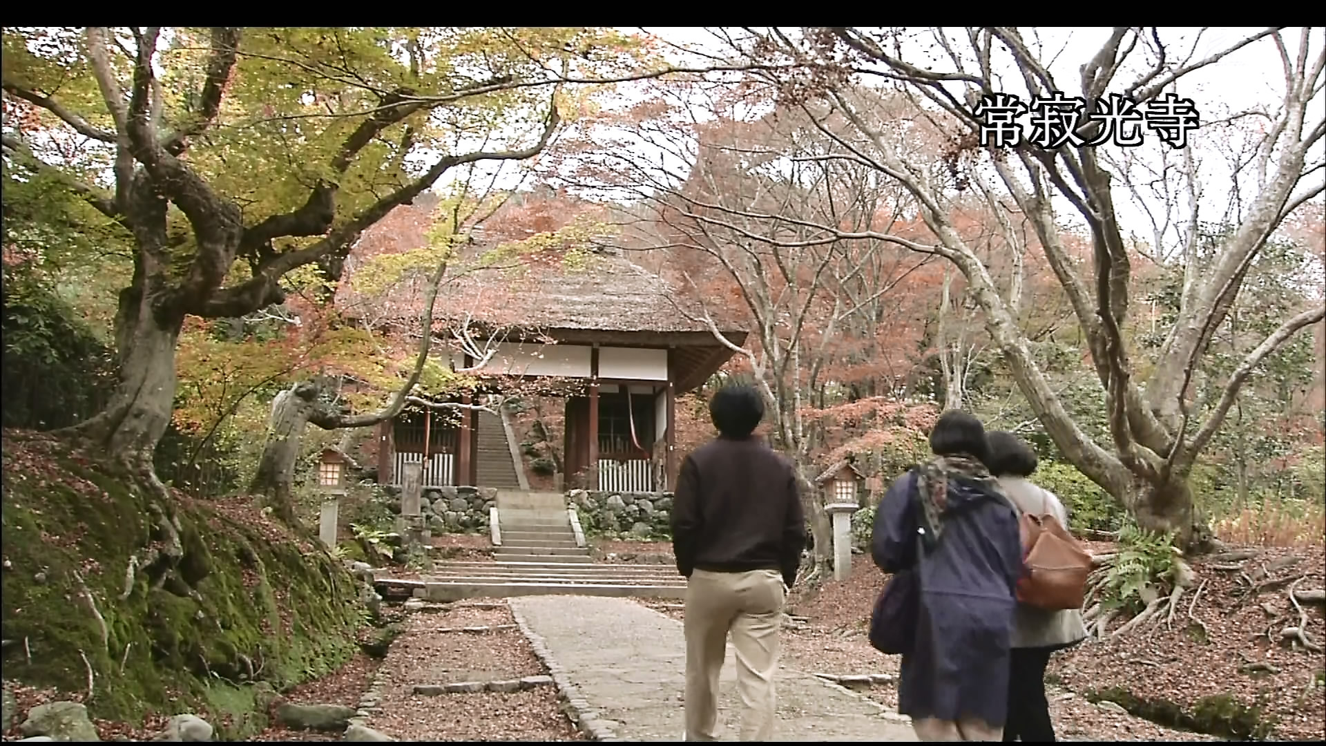 さわやかウインドー「京都　嵯峨野路」c.jpg