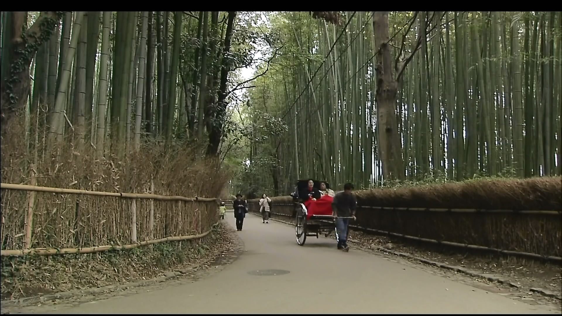 さわやかウインドー「京都　嵯峨野路」f.jpg