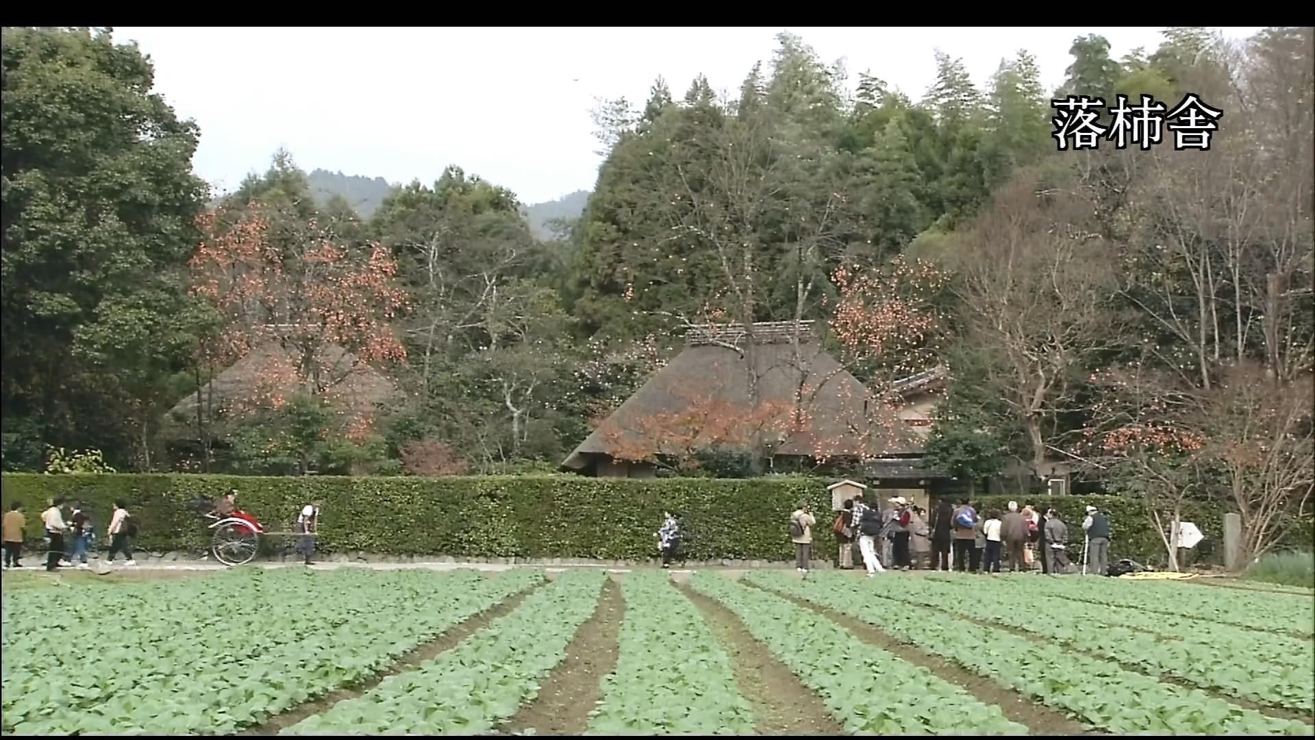 さわやかウインドー「京都　嵯峨野路」h.jpg