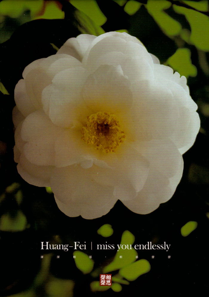 cover_副本.jpg