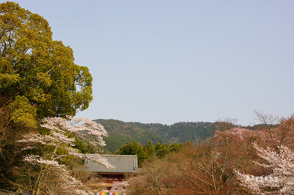 醒醐寺