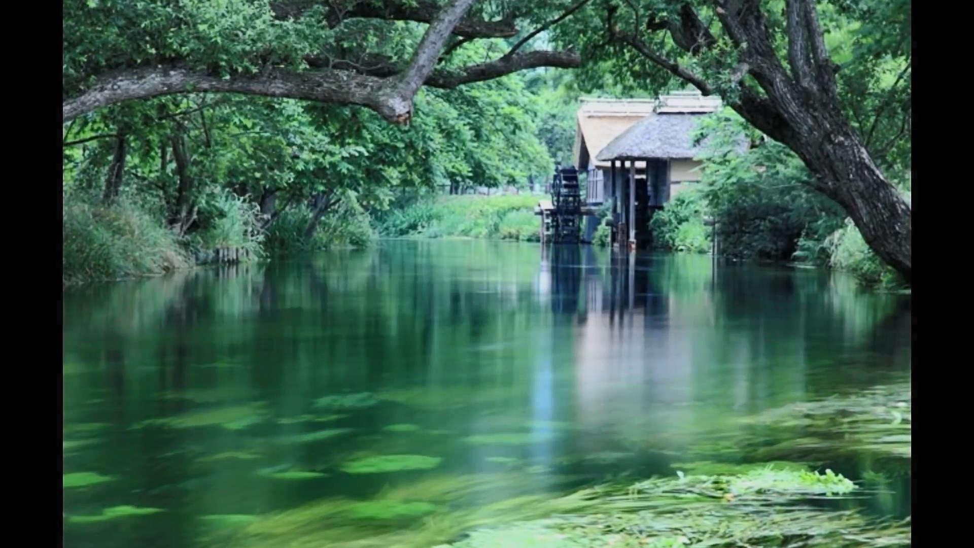 信濃路恋歌   水森かおりe.jpg