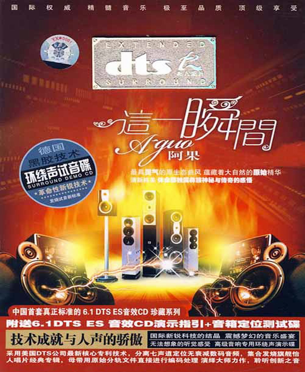 阿果-这一瞬间DTS.jpg