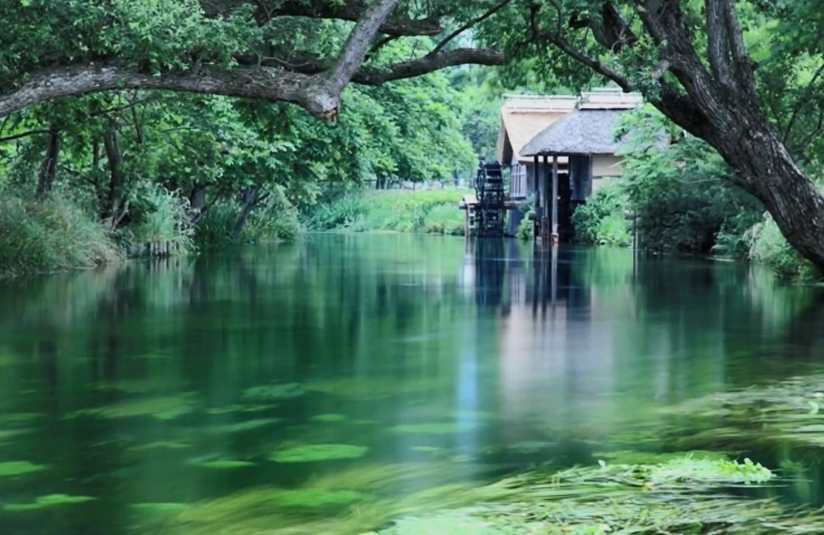 信濃路恋歌  ♪ 水森かおりb.jpg