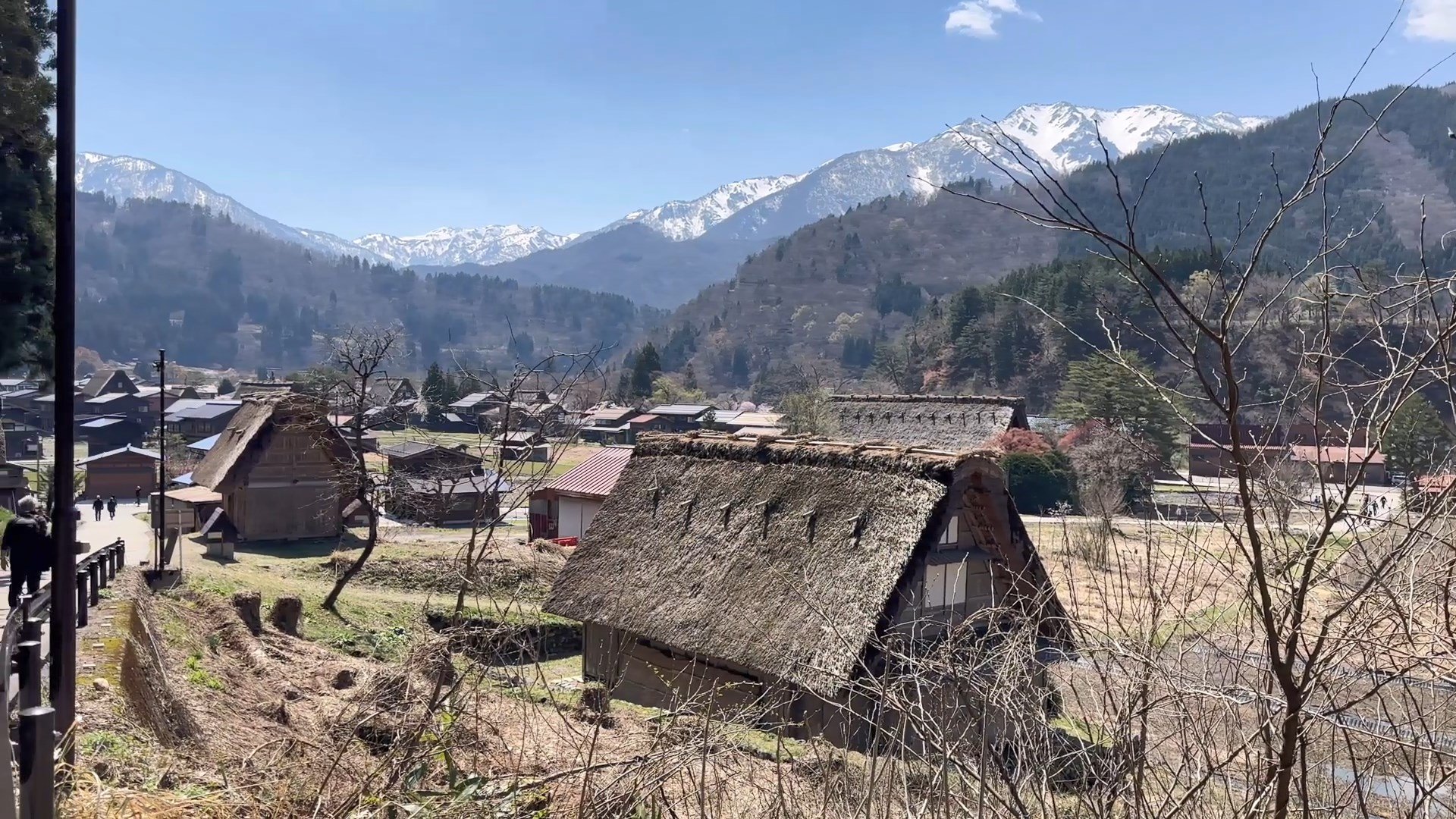 桜咲く白川郷の春　Spring in Shirakawago with cherry blossoms  f.jpg