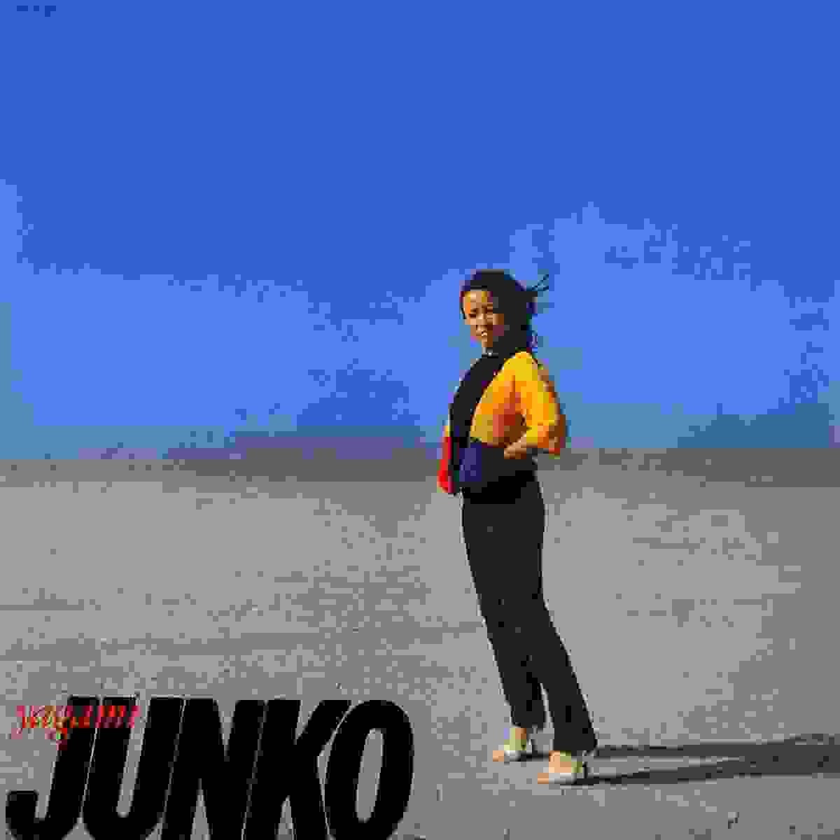 [八神純子][1980.10.21]JUNKO THE BEST_结果.jpg