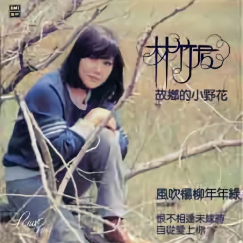 林竹君_故乡的小野花.jpg