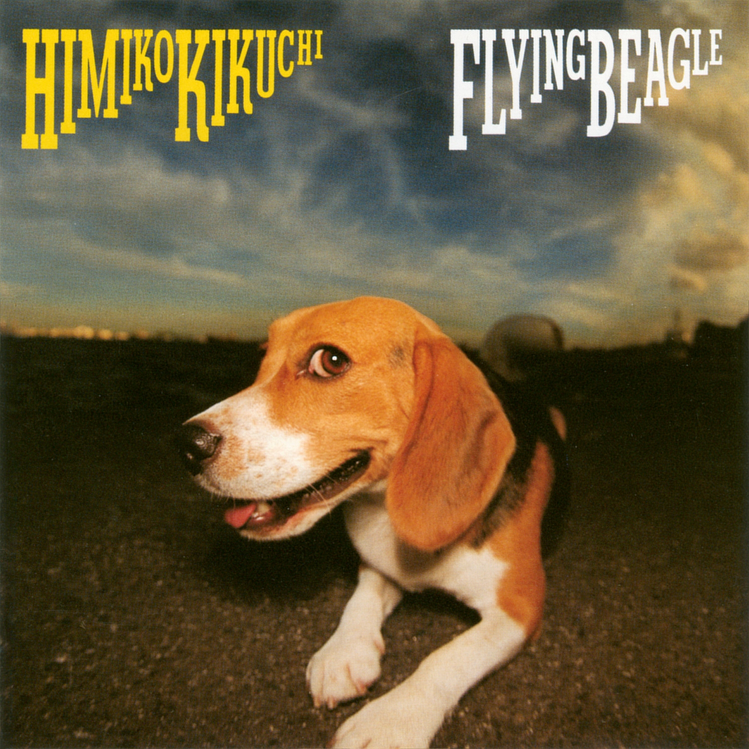 菊池ひみこ - FLYING BEAGLE.jpg