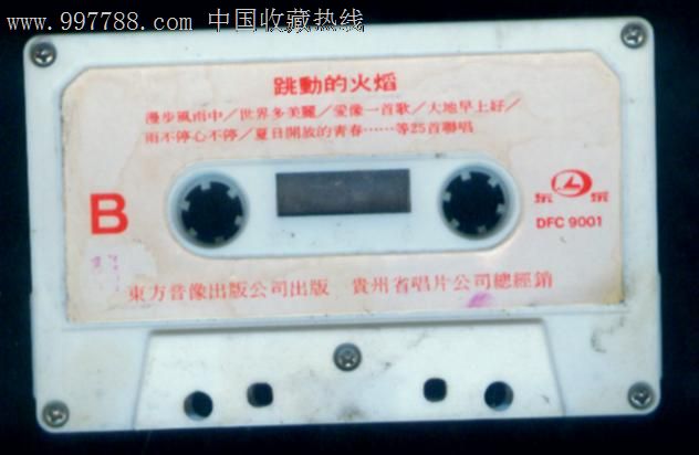 跳动的火焰(一)50首迪斯科歌曲联唱 磁带封面4.jpg