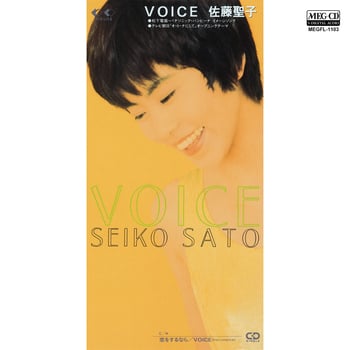 佐藤聖子 - VOICE.jpg