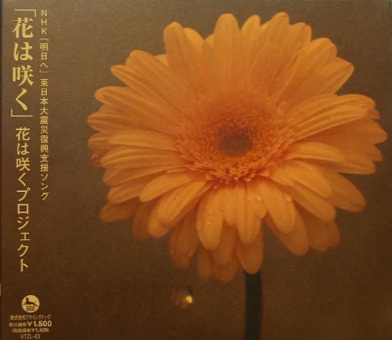 o0553048015253760692.jpg