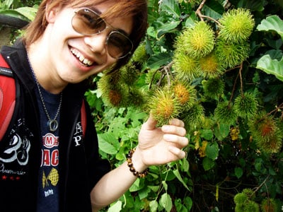 rambutan1.jpg