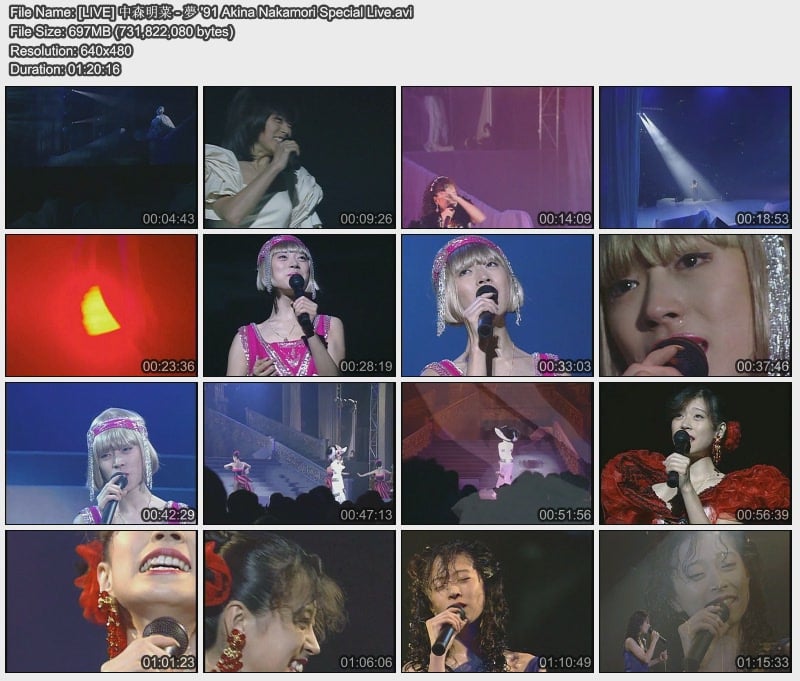 [LIVE] 中森明菜 - 夢 '91 Akina Nakamori Special Live.jpg