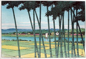 Bamboo Forest, Tama River 1953.jpg