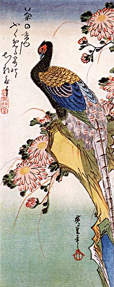 Chrysanthemum and Pheasant.jpg