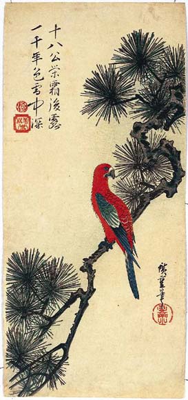 Macaw and Pine tree.jpg