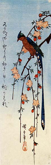 Peach and Long-tailed Bird.jpg