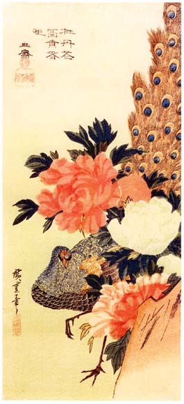 Peacock and Peonies.jpg