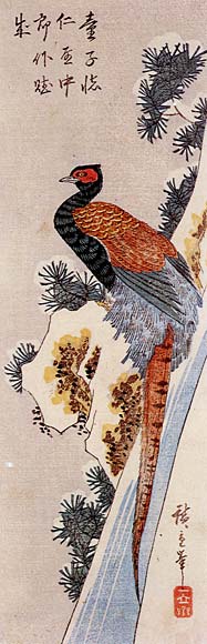 Snow, Pine and Pheasant.jpg