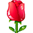 鲜花.gif